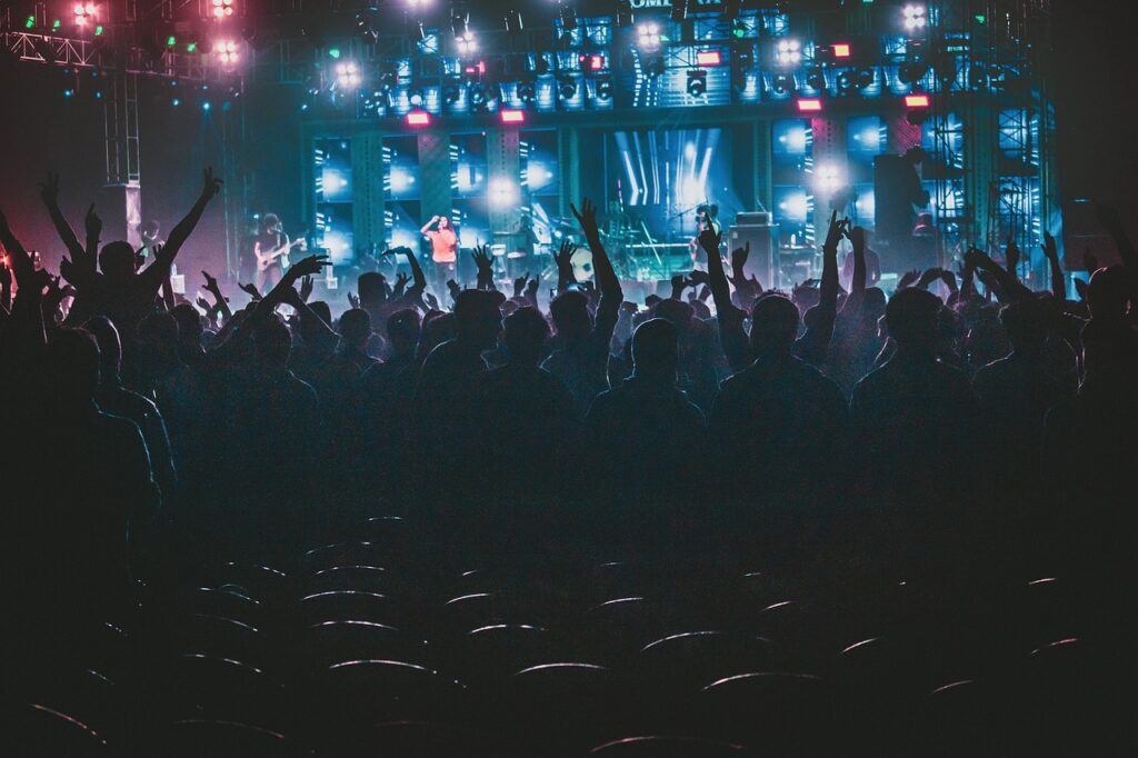 concert, performance, music-4768496.jpg