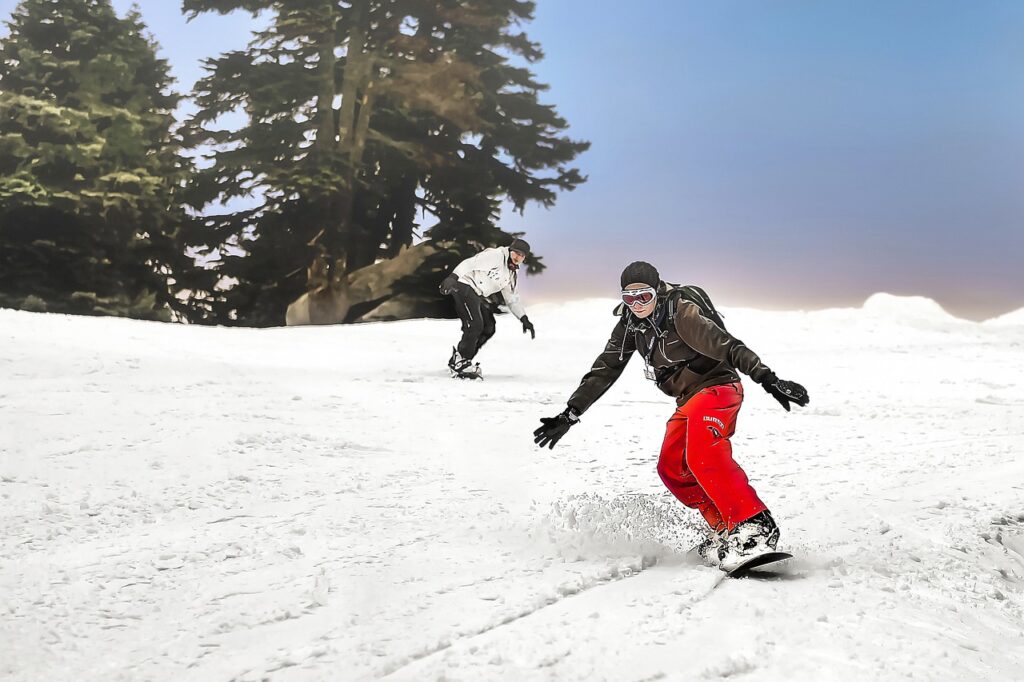 snowboarding, nature, snow, snowboard, winter, sport-4878696.jpg