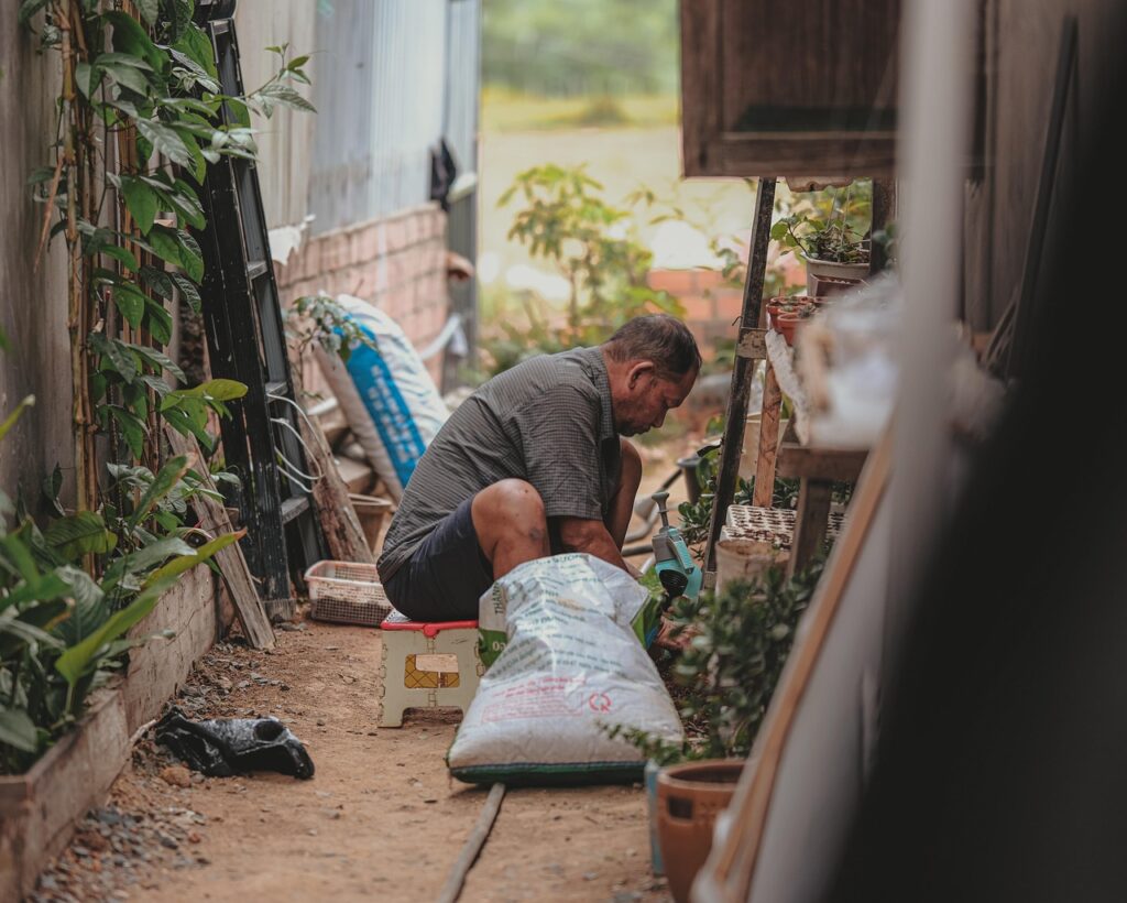 family, father, dad, plant, nature, town-7977570.jpg
