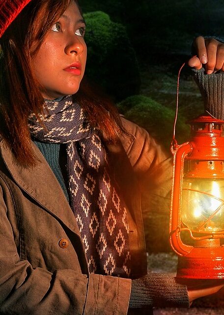girl, lantern, light, forest, trees, standing, window, shock, stare, scary, ghost, nature, terror, mystery, brave, creepy-5477431.jpg