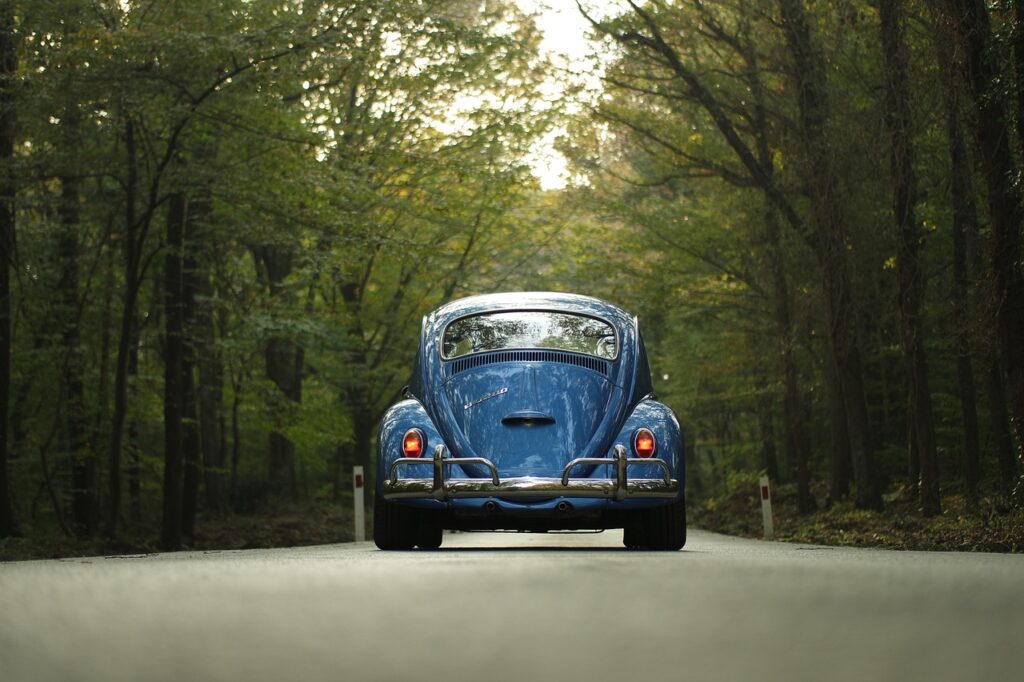 vw, beetle, car, classic car, forest, outdoors, road, drive, road trip, trip, travel, trees, nature, car wallpapers, vehicle, vintage, volkswagen, volkswagen beetle-1835506.jpg
